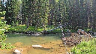 Not catching fish **DO THIS** before changing flies - I'll walk you thru this run!