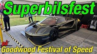 Superbilsfest på Goodwood festival of speed!