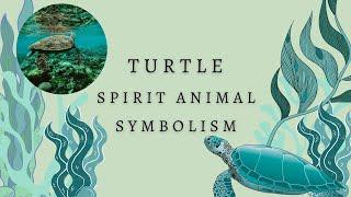 Why You Keep Seeing Turtles  | Turtle Spirit Animal Symbolism