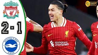 Liverpool vs Brighton 2-1 Highlights & All Goals 2024 HD