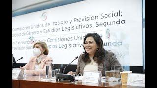 Senadora Nadia Navarro,  Ley del Seguro Social en materia de derechos de trabajadoras del hogar