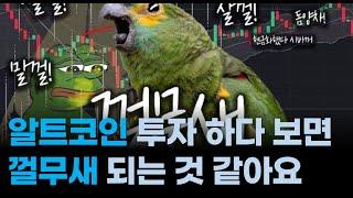 알트 투자 하다 보면, 껄무새 됩니다/ 오늘도 살껄.. 하는 코인은 내 지갑에 없어요