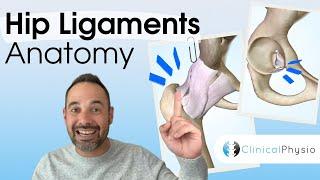 Hip Ligaments Anatomy | Expert Physio Guide