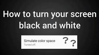 How to turn your screen Black And White | MAK Tech