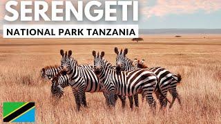 SERENGETI NATIONAL PARK : One of the seven natural wonders of Africa