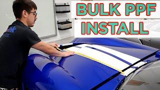 WE CUSTOM WRAPPED A RACECAR - What is "Bulk" PPF?