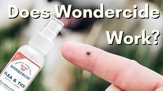 Does Wondercide Flea and Tick Spray Work?