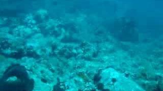 Scuba Diving Halkidiki_2