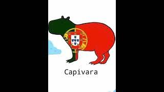 capybara meme