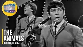 The Animals "I'm Crying" on The Ed Sullivan Show