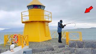 Fishing a Lighthouse Pier When Something CRAZY Happened! *ICELAND Fishing Experience*