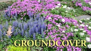 Groundcovers – Family Plot