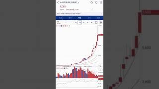 추억의 누사이퍼 #누사이퍼  #코인  #알트코인  #중국 #불장 #역대급