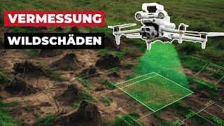 Wildschäden in Echtzeit aus der Luft vermessen - Live Vermessung mit der DJI M4T