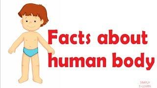 Human body facts for kids - children - facts about human body - Simply E-learn Kids