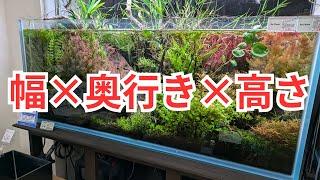 【実践的な正味の水量】水槽の水量を計算する方法