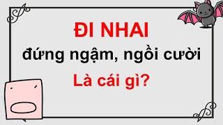 Câu đố dân gian Việt Nam có đáp án - Phần 8