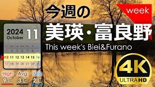 [This week's Biei/Furano] Late autumn scenery Week  of November 2024