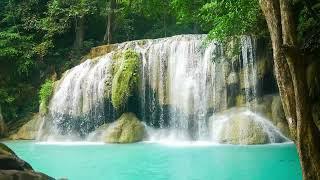 Relaxing Sleep  Nap Time W/Piano Music Nature Sounds Birds Singing And Waterfall Soothing Sounds