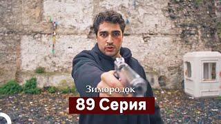 Зимородок 89 Cерия (Русский дубляж)