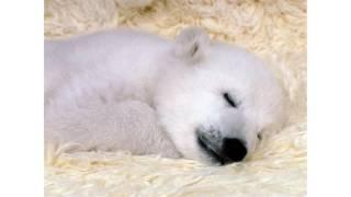 Peaceful
