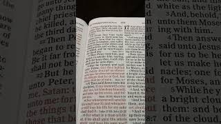 Bible Reading Matthew Chapter 16 Verse 21-28