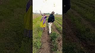 #folk #song #telugu #sumanfolkmusic ..