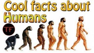 Mind blowing facts about the human body!