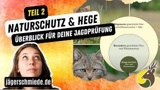 Überblick: Naturschutz und Hege (Teil 2/2) -  Wissen für die Jagdprüfung 