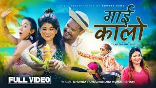 Gai Kalo - Dhurba Pun • Ritu Basnet • Nikisha Shrestha • Tejendra Pariyar • Chandra Shahi •Teej Song