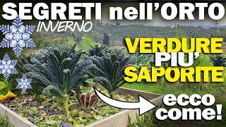 COLTIVARE col FREDDO VERDURE più SAPORITE !!! I SEGRETI dell'ORTO D'INVERNO