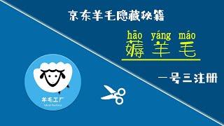 004期｜2021年内地宅男宝妈网赚项目｜手机京东薅羊毛｜隐藏秘籍：一号三次注册