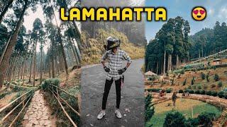 Siliguri To LAMAHATTA  Bike Ride | Lamahatta Eco Park ️ Darjeeling