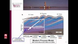 Controls on high-grade gold ore shoots: towards a new paradigm