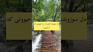 داستان بسیار زیبا و آموزنده فارسی ایرانی (دلی نشکن و آهی نگیر) #story #قصه #storytelling #storytime