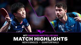 Tomokazu Harimoto vs Patrick Franziska | MS QF | WTT Champions Montpellier 2024