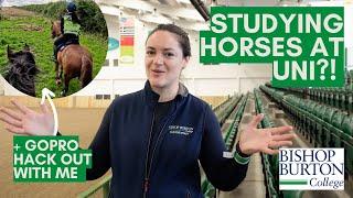 Studying Horses at University?! Yard Tour of Bishop Burton College & GoPro Hack!