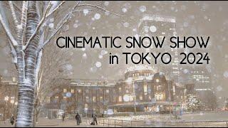 CINEMATIC SNOW SHOW in TOKYO 2024 東京の雪景色