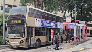 Hong Kong Bus KMB ATENU281 @ 286X 九龍巴士 Alexander Dennis Enviro500 MMC 顯徑 - 深水埗 (循環線)