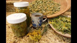 3 Ways to use Goldenrod | How to Harvest & Make Goldenrod Tea, Infused vinegar & Infused Oil