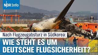 Flugzeugunglück in Südkorea: Welche Maßnahmen werden gegen Vogelschläge getroffen? | NDR Info