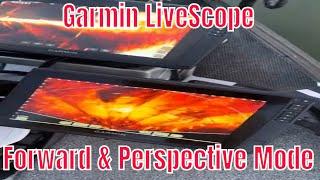 Garmin Livescope forward vs Perspective mode: on the water comparison of both