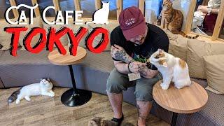 Cat Cafe in Tokyo