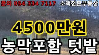 (NO.402) 영천땅 영천부동산 개울가인근  농막 포함텃밭 4500만원