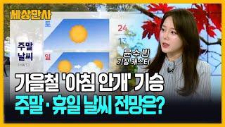 가을철 '아침 안개' 기승…주말·휴일 날씨 전망은? [세상만사] #가을날씨 #주말날씨 #단풍시작