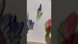 Painting the buds of lilies in watercolor #watercolorpainting #artwork  #realism #art #sketch