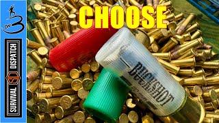 12 Gauge or .22 LR | Choose Your Weapon!