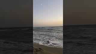 Sea️