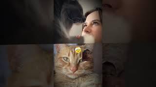 Wiz cat