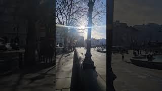 Trafalgar square #london #travel #new #vibes #sunset #like #shortvideo #short #peace #canada #usa